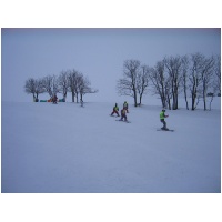 IMG_0321.jpg