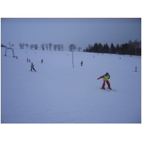 IMG_0324.jpg