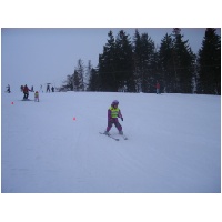 IMG_0349.jpg