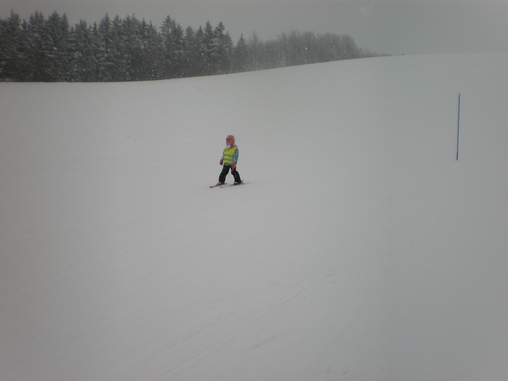 P2140036.JPG