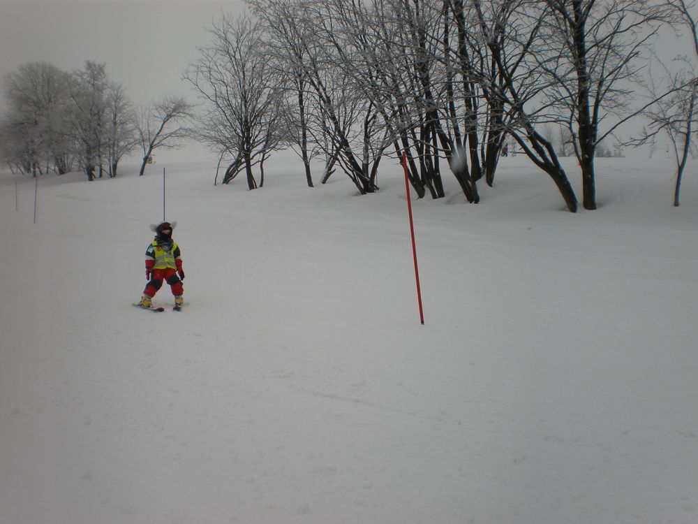 P2130601.JPG