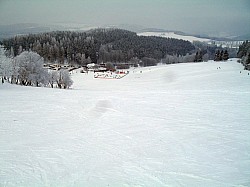 SDC14738
