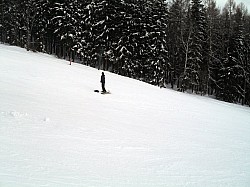 SDC15252