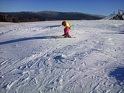 Olešnice v Orlických horách-20140125-00499