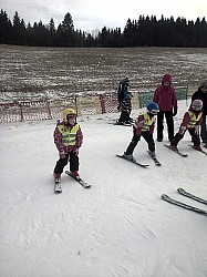Olešnice v Orlických horách-20140201-00594