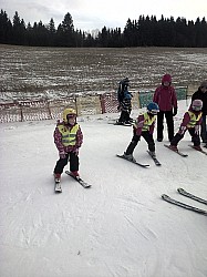 Olešnice v Orlických horách-20140201-00594