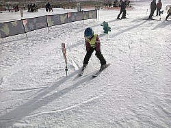 Olešnice v Orlických horách-20140201-00606