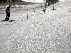 Olešnice v Orlických horách-20140201-00632