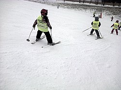 Olešnice v Orlických horách-20140201-00650