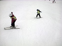 Olešnice v Orlických horách-20140201-00663