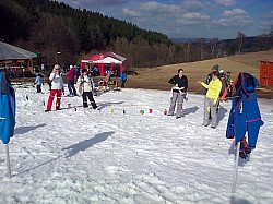 Olešnice v Orlických horách-20140301-00875