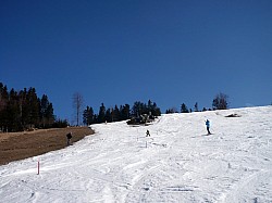 P1030763
