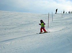 DSCN3632